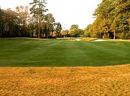 Lawn Colorant